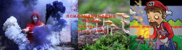 сатива Козловка