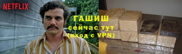 сатива Козловка