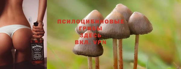 ECSTASY Кодинск