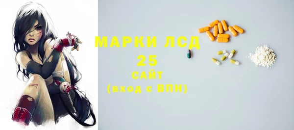 сатива Козловка