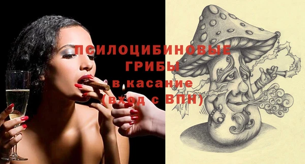 сатива Козловка